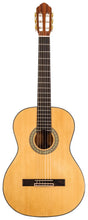 Load image into Gallery viewer, Guitarra Clásica Peavey Delta Woods CNS-1