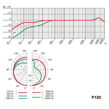 Cargar imagen en el visor de la galería, Micrófono Condensador AKG P120