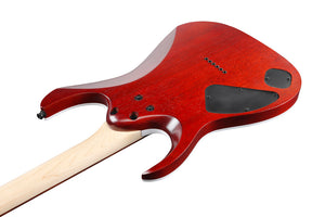 Guitarra Eléctrica Ibanez RGA42FM