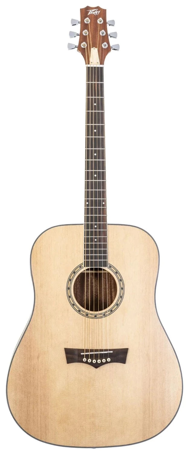 Peavey Delta Woods Solid Top DW-2 Acoustic Guitar 