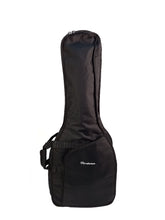 Load image into Gallery viewer, Flextone Classical Guitar Case BGC5B39
